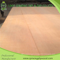 Poplar or Hardwood Core Dbbcc Grade 12mm Bintangor Plywood